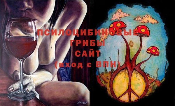 ГАЛЛЮЦИНОГЕННЫЕ ГРИБЫ Абдулино