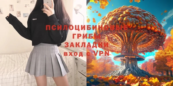 прущий лед Алзамай