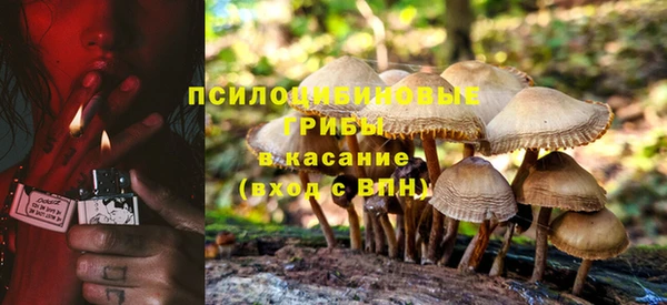 трава Алексин