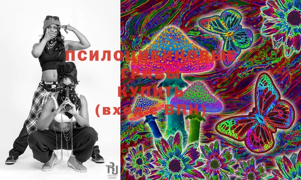 ГАЛЛЮЦИНОГЕННЫЕ ГРИБЫ Абдулино
