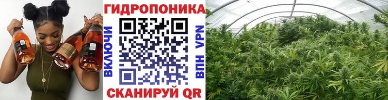 Канабис Amnesia  Гагарин 